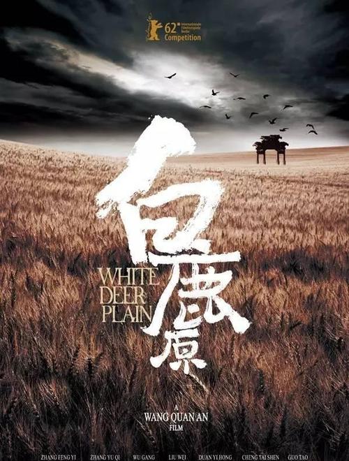 公司要学位证书复印件